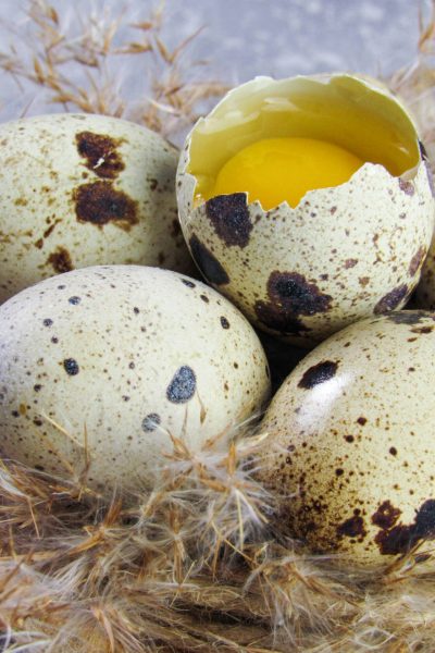 karyna-panchenko-sDcW-XZXgk8-unsplash